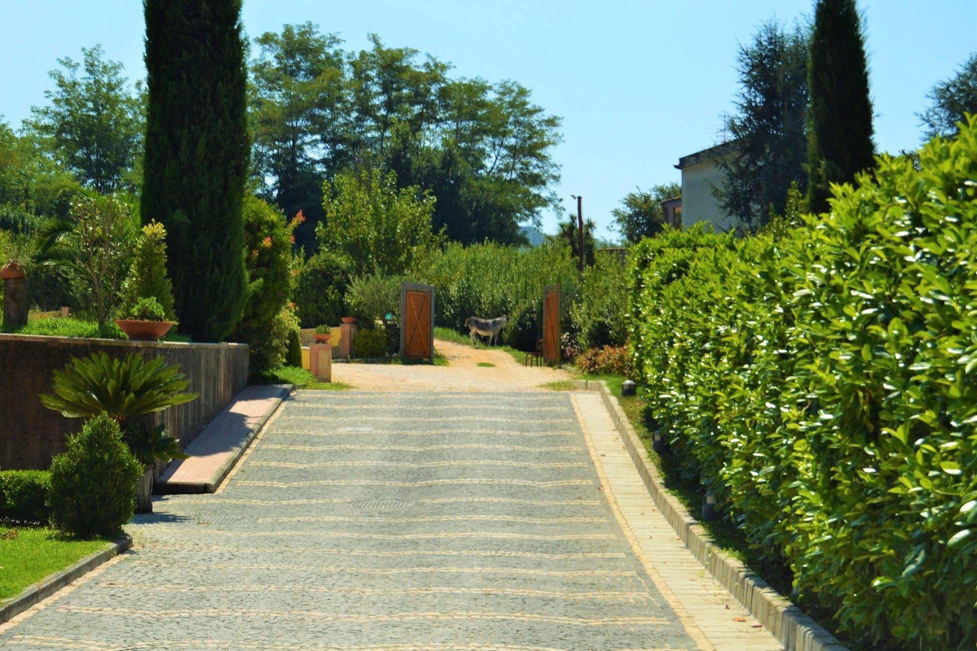 Agriturismo San Martino Pozzuoli Luaran gambar